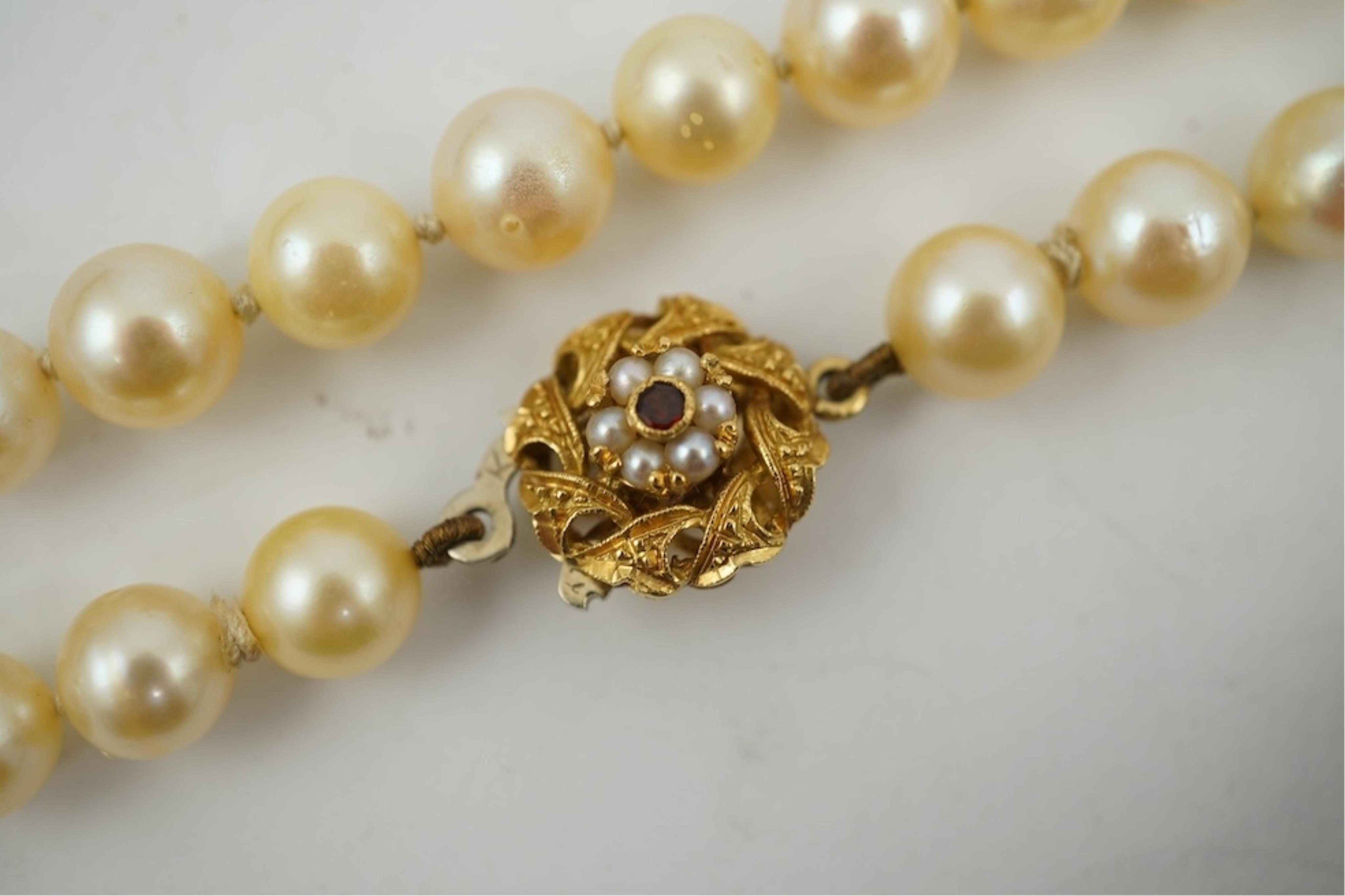 A single strand cultured pearl necklace, wit an 18ct gold, ruby and seed pearl cluster set clasp, 40cm.